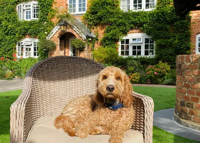 Little Woodside A Beautiful New Forest Self Contained Private Luxury Annexe