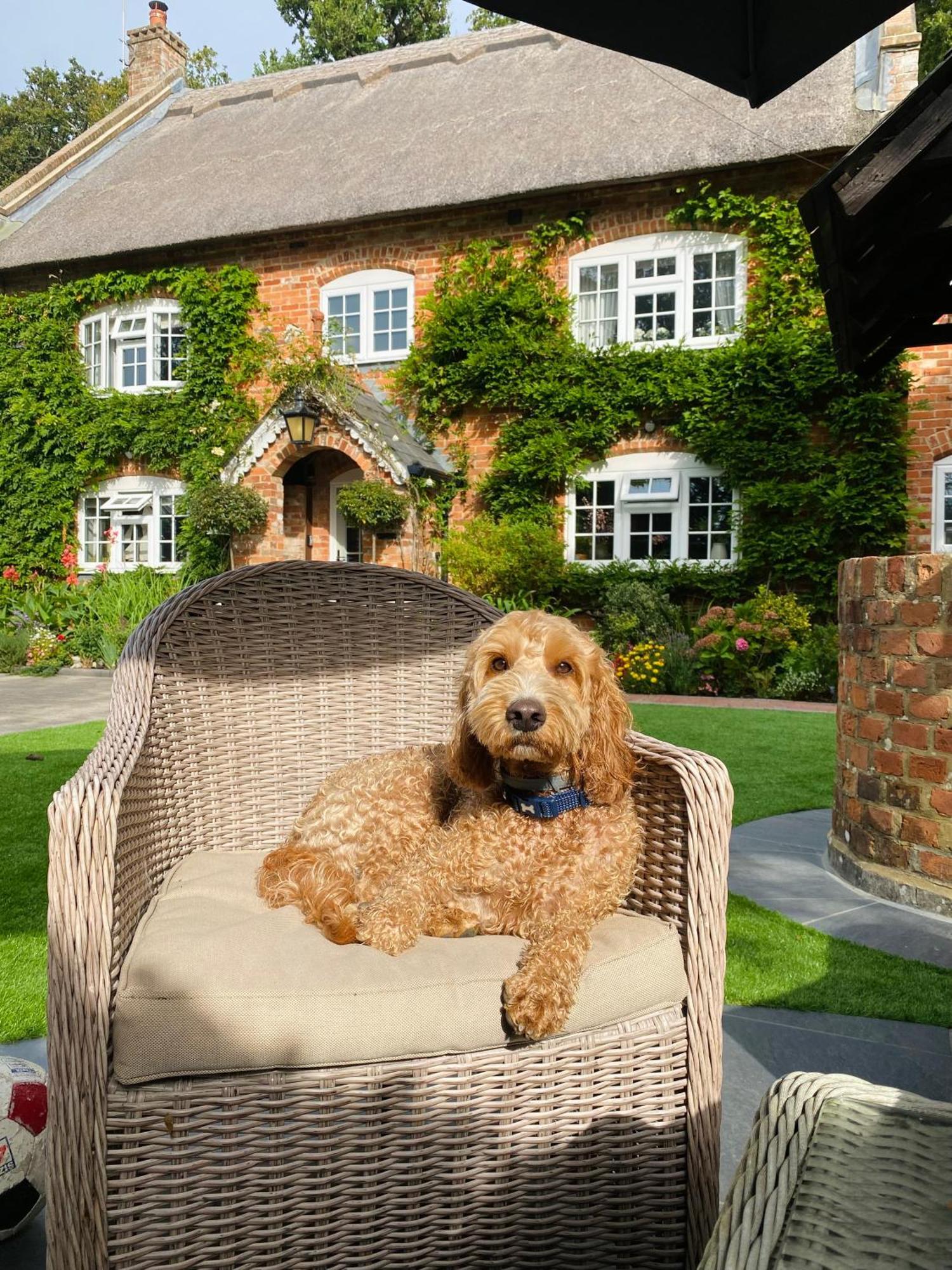 Little Woodside A Beautiful New Forest Self Contained Private Luxury Annexe Нью Милтон