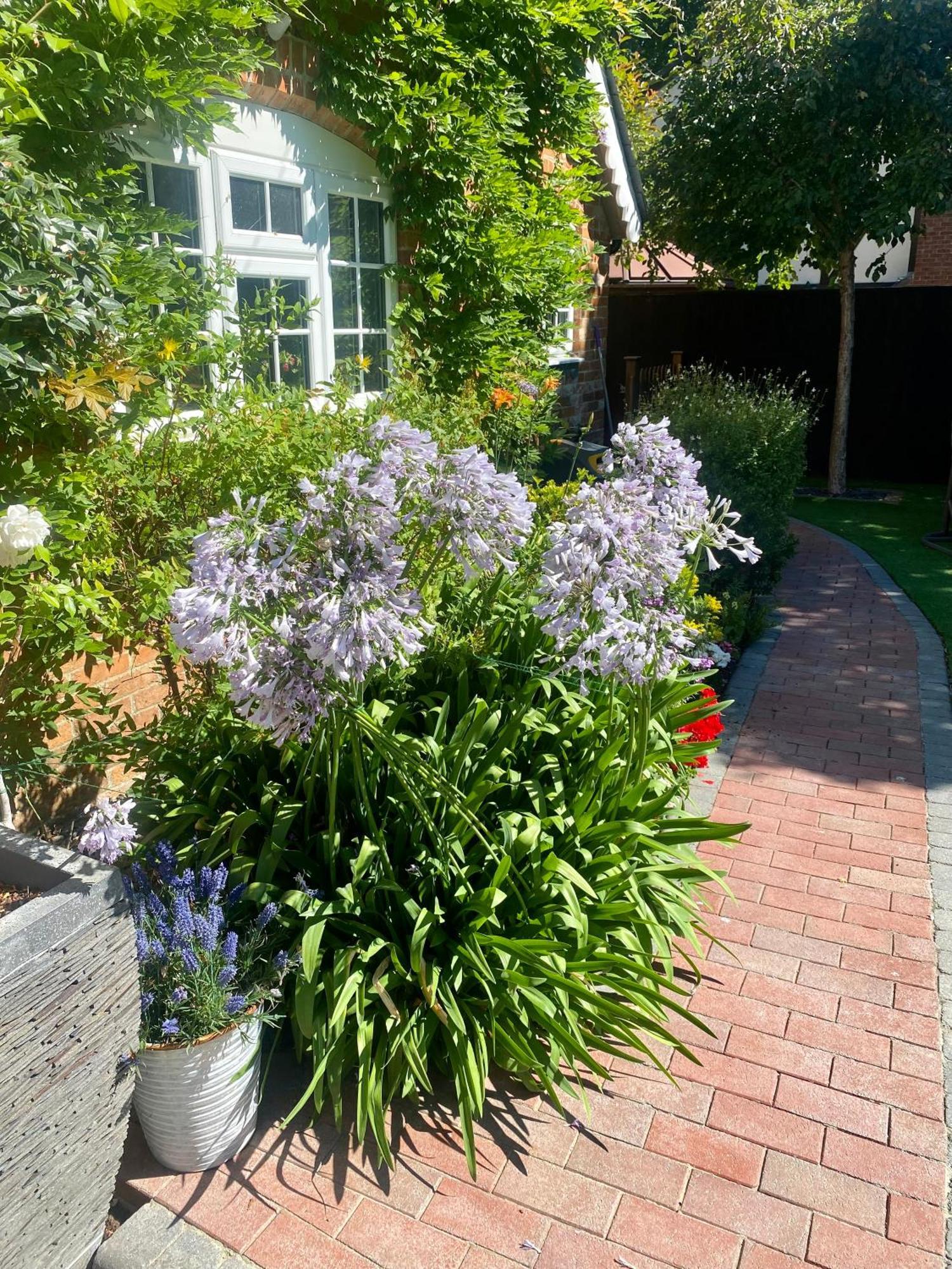 Little Woodside A Beautiful New Forest Self Contained Private Luxury Annexe Дом отдыха Нью Милтон